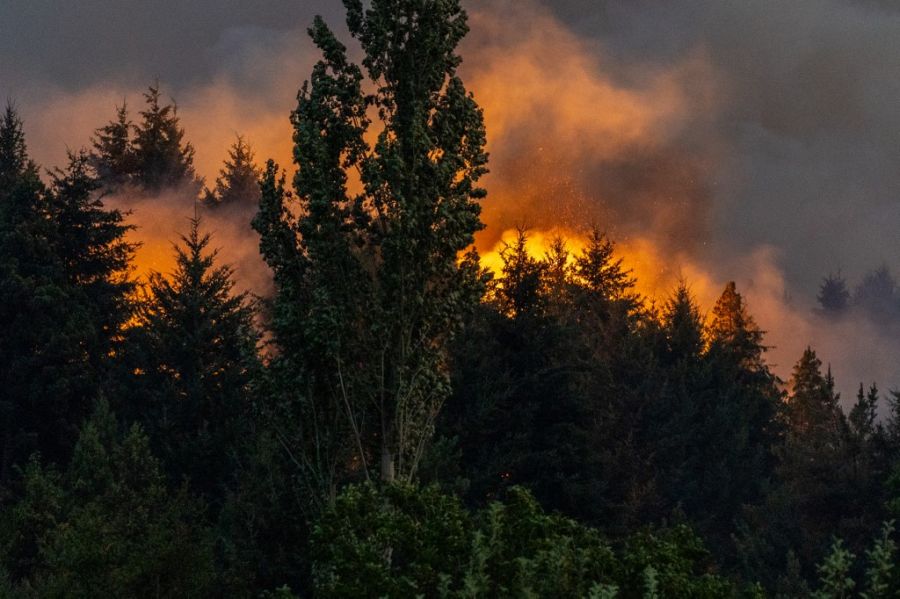 Incendios en la Patagonia