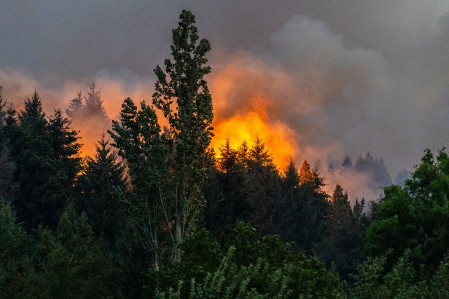 Incendios en la Patagonia