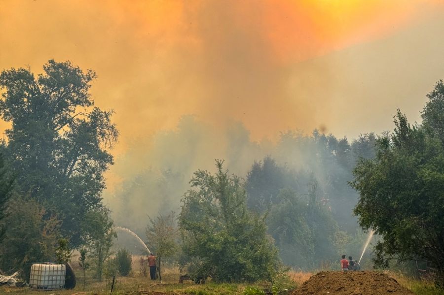 Incendios en la Patagonia