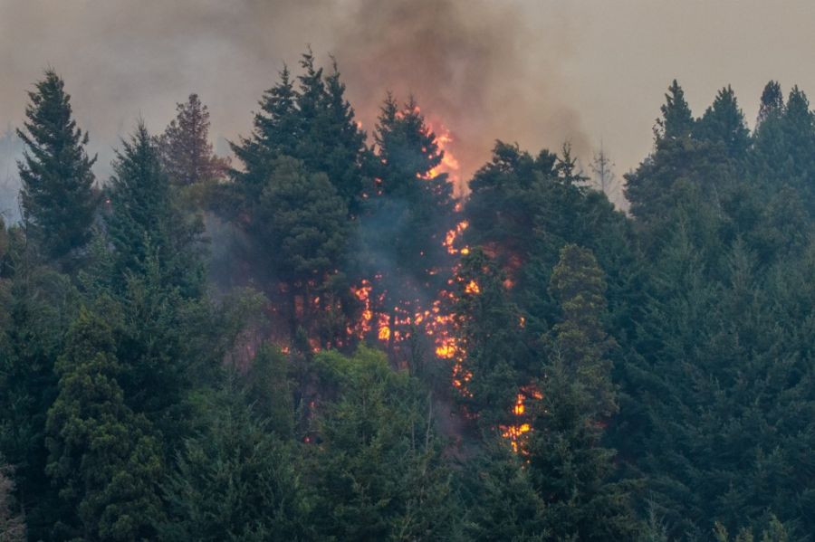 Incendios en la Patagonia