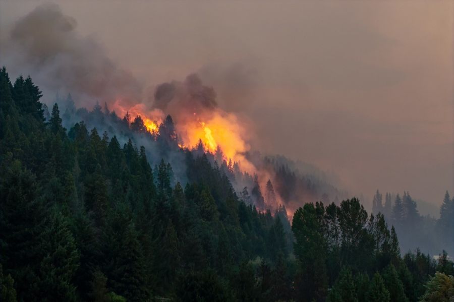 Incendios en la Patagonia