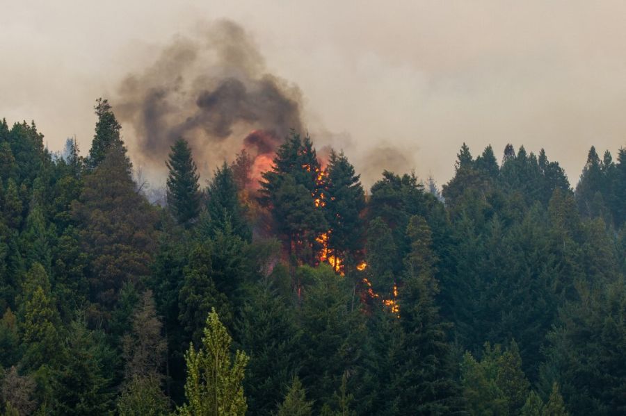 Incendios en la Patagonia