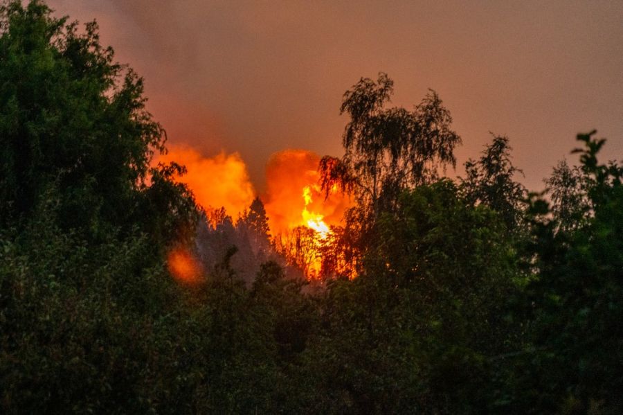 Incendios en la Patagonia