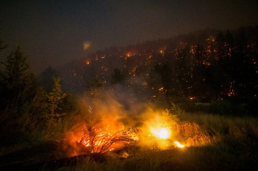 Incendios en la Patagonia