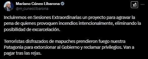 Mariano Cuneo Libarona