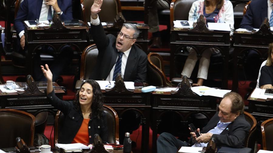 Lorena Pokoik en sesión por Ficha Limpia