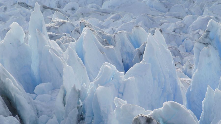 Día Mundial de los glacieraes 20250214