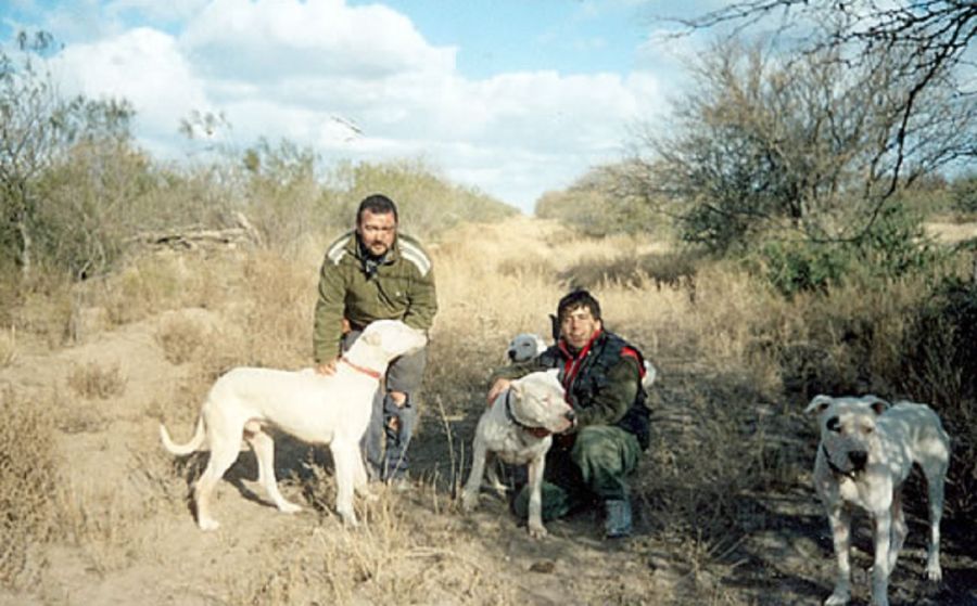 1702_perros
