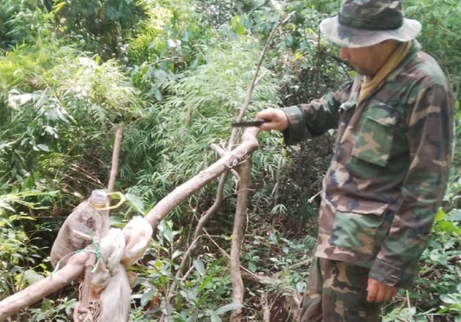 2002_cazadores furtivos