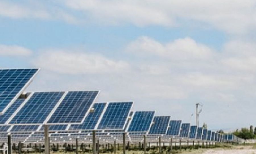 2202_parque solar san guillermo