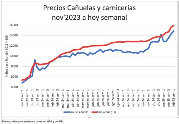 Precio de la carne en Cañuelas y en carnicerías desde nov a hoy. 