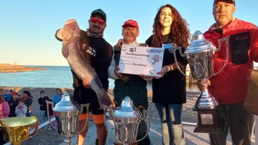 2502_camarones