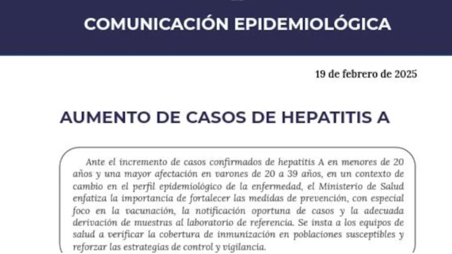 Comunicado Ministerio de Salud por Hepatitis A