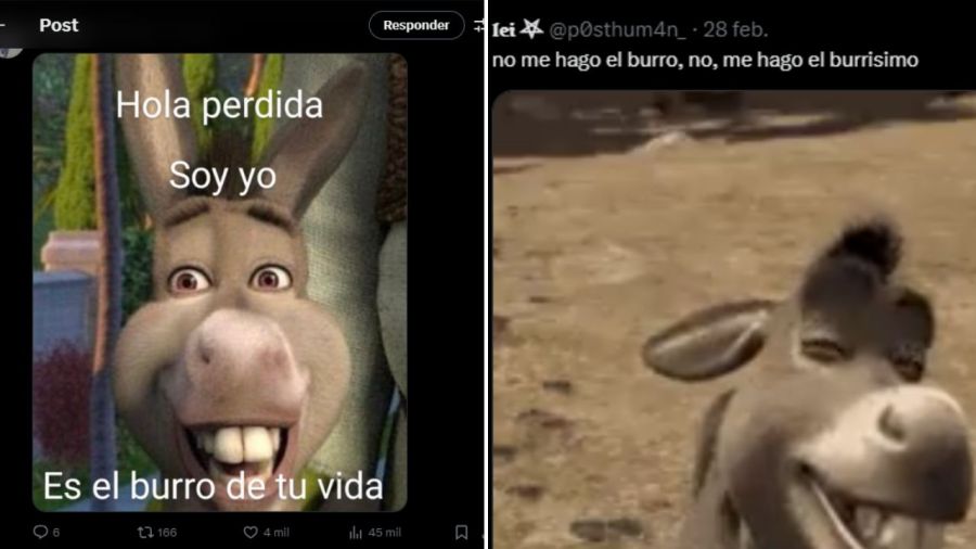 Los memes que comparan a Luck Ra con el burro de Shrek 