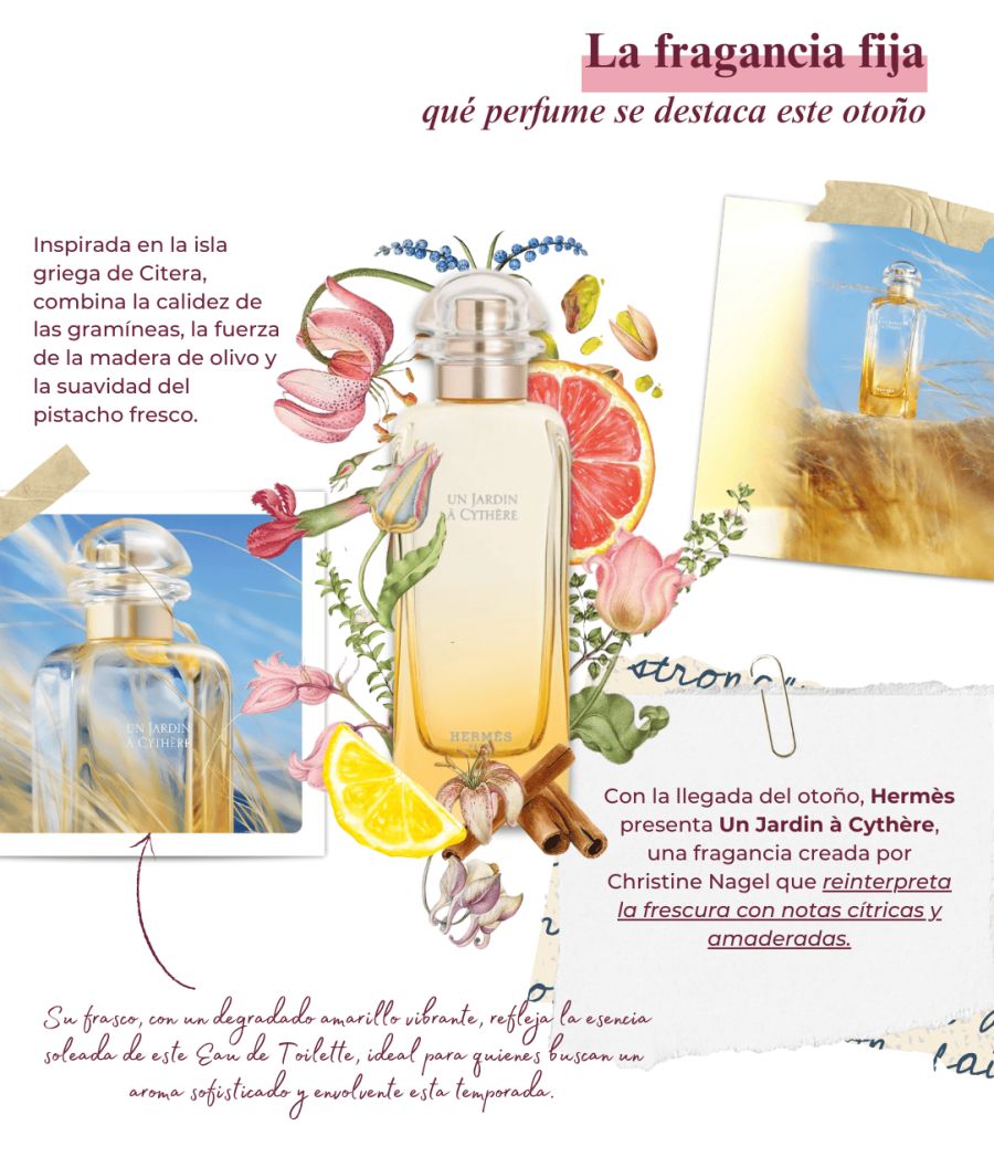La Idea Fija
