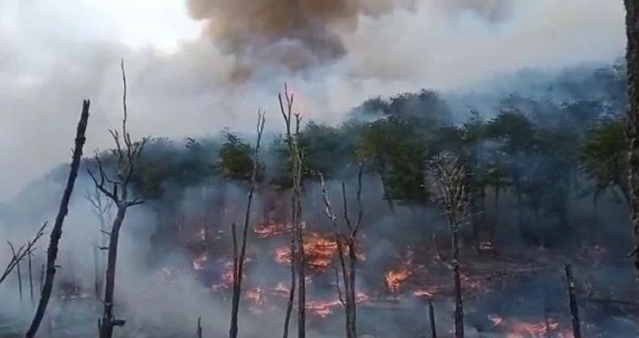 0703_reserva corazón de la isla 