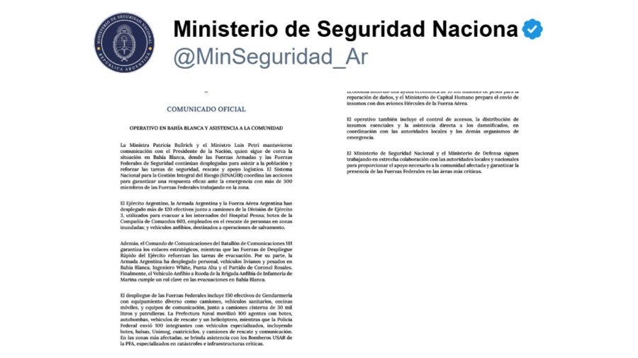 20250308 Comunicado del Ministerio de Seguridad