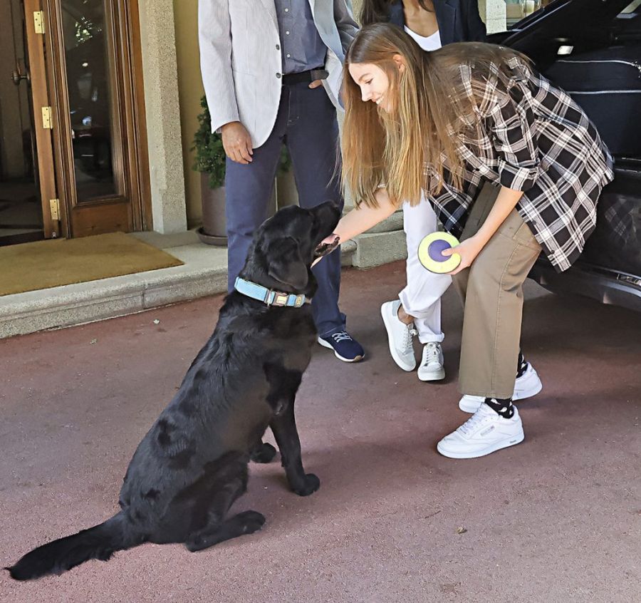 Los perros de la Casa Real 