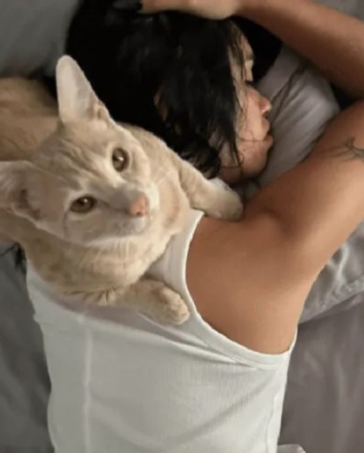 Lali Espósito y sus gatos