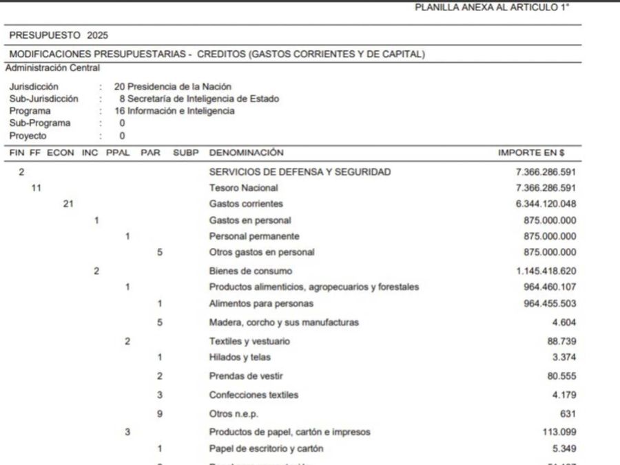 Reasignación presupuestaria - boletín oficial 20250313