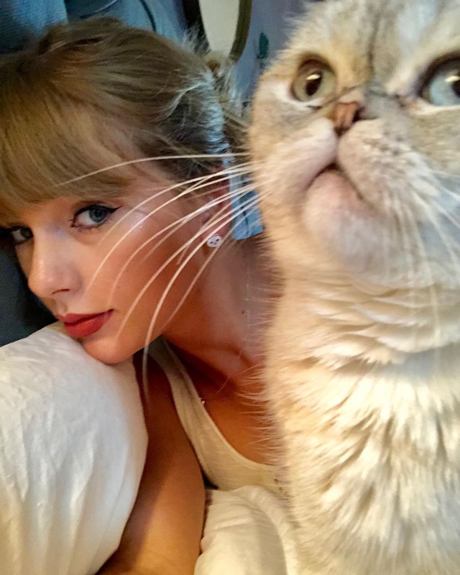 Taylor Swift, Olivia, Meredith y Benjamin