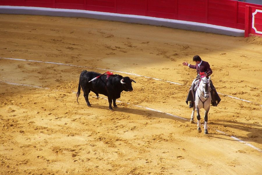 Corrida de toros