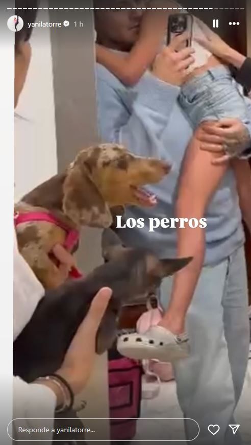 Los perros de las hijas de Wanda Nara