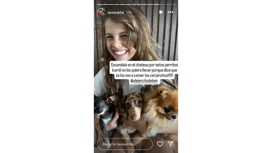 Mauro Icardi se negó a que sus hijas lleven consigo a sus mascotas