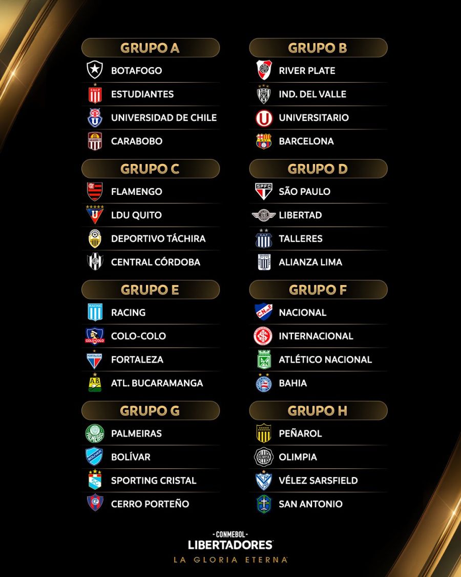 Libertadores grupo