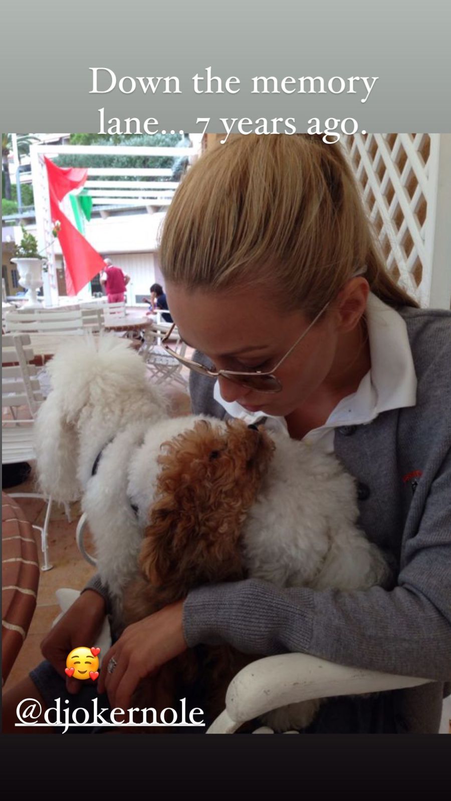 Novak Djokovic y sus poodles