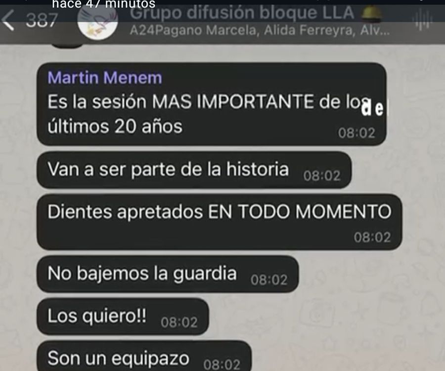 Martin Menem