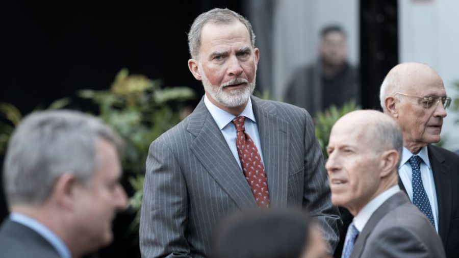 Rey Felipe VI