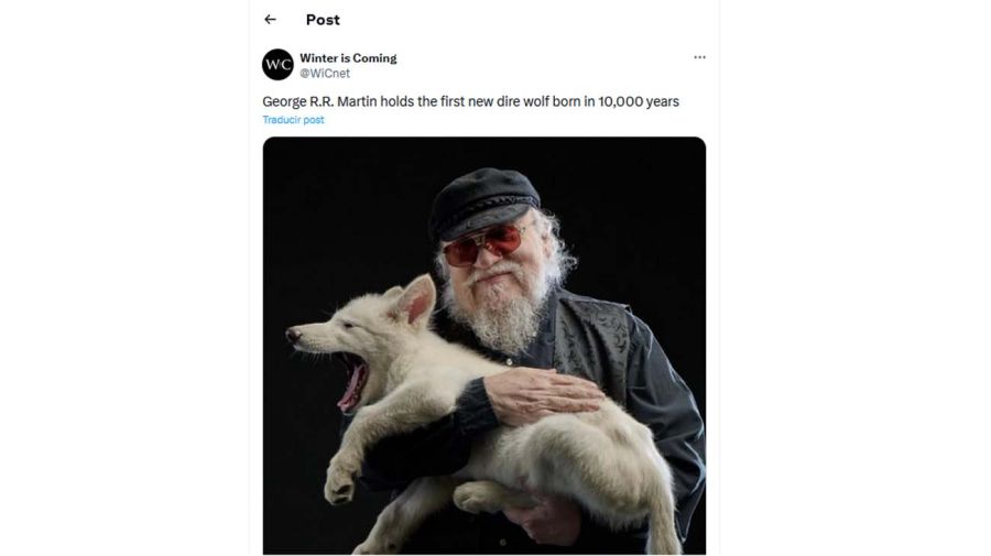 Lobos twitter20250409