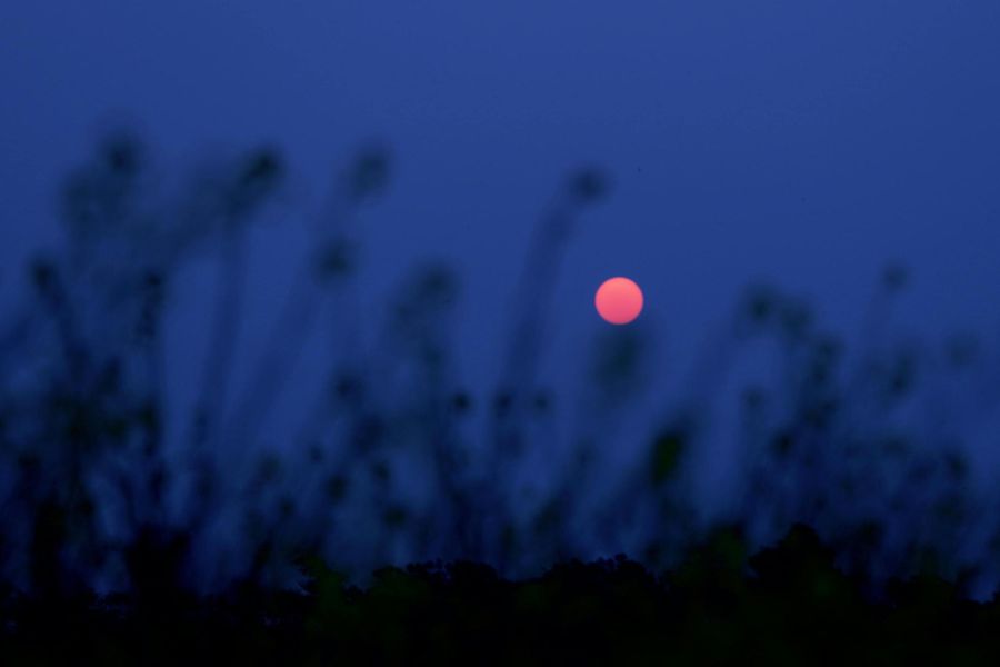 Luna Rosa