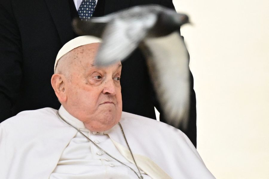 El papa Francisco salió nuevamente a la Plaza de San Pedro el Domingo de Ramos.