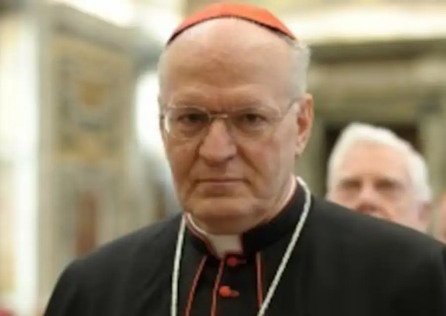 Los posibles sucesores del Papa Francisco 20250421