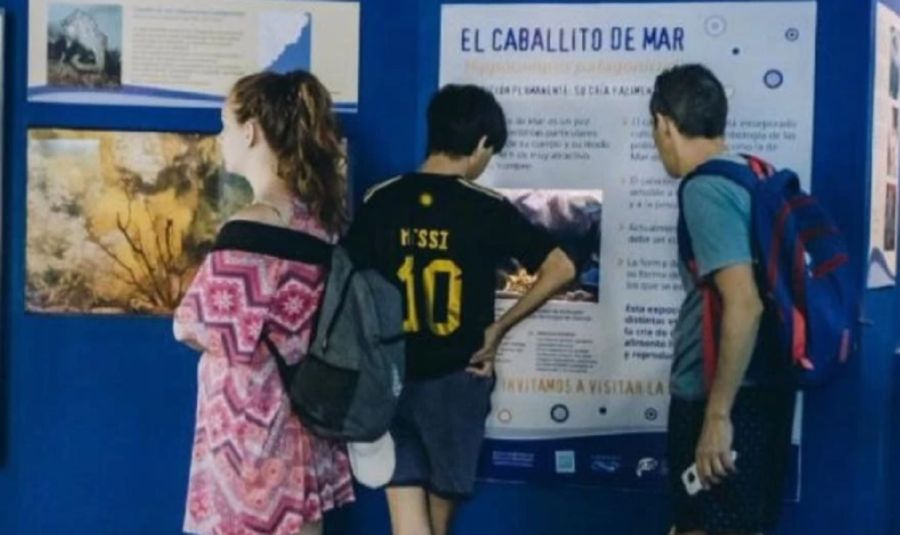 2204_museo