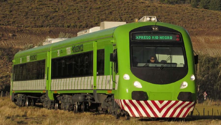 2404_tren patagónico