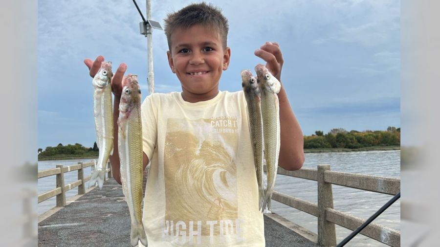 2504_mapa_pique_pesca