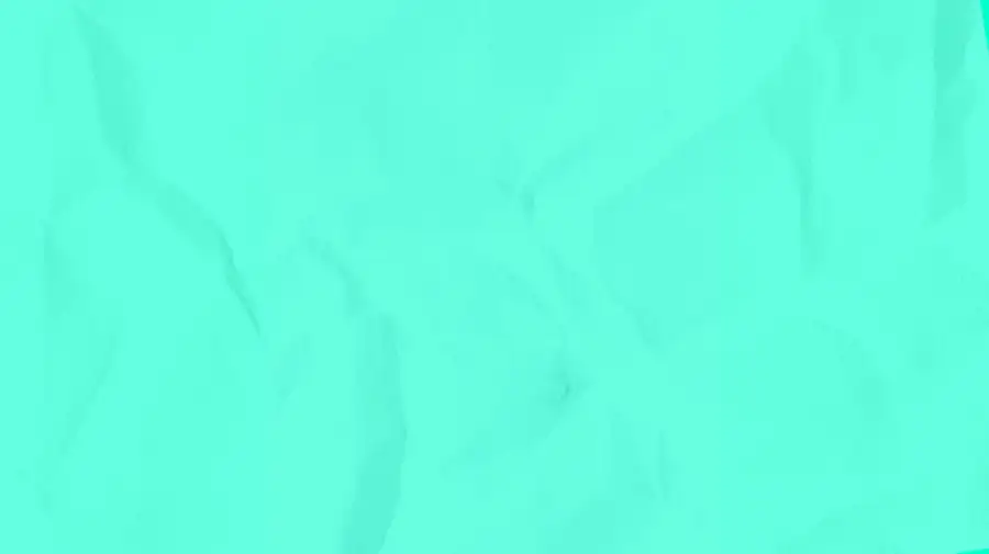Nuevo color
