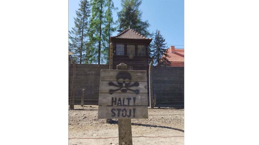 Auschwitz-Birkenau: de qué estamos hablando cuando hablamos de horror.