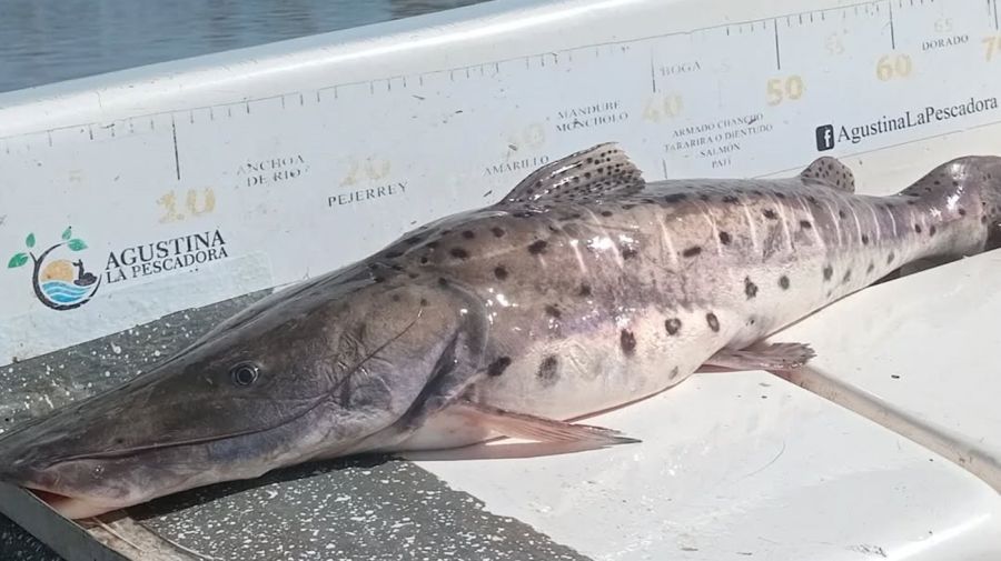 3004_mapa_pique_pesca