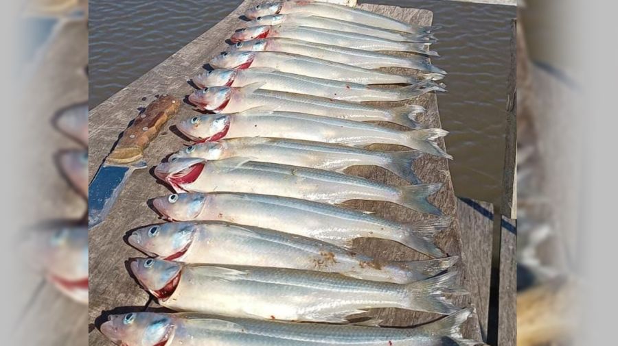 3004_mapa_pique_pesca