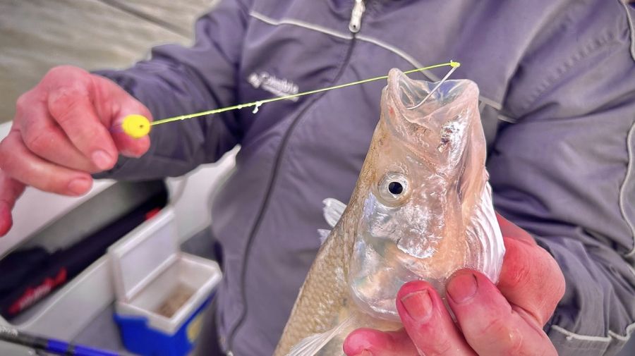 3004_mapa_pique_pesca