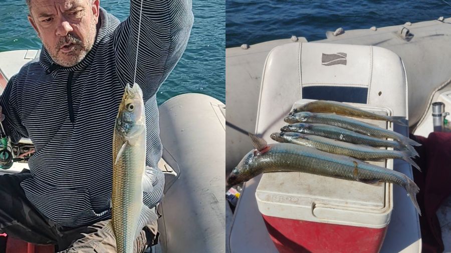 3004_mapa_pique_pesca