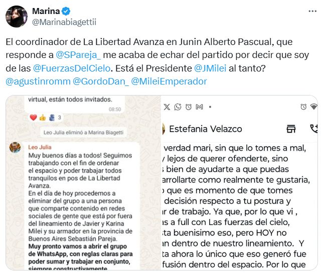 TUIT interna libertaria