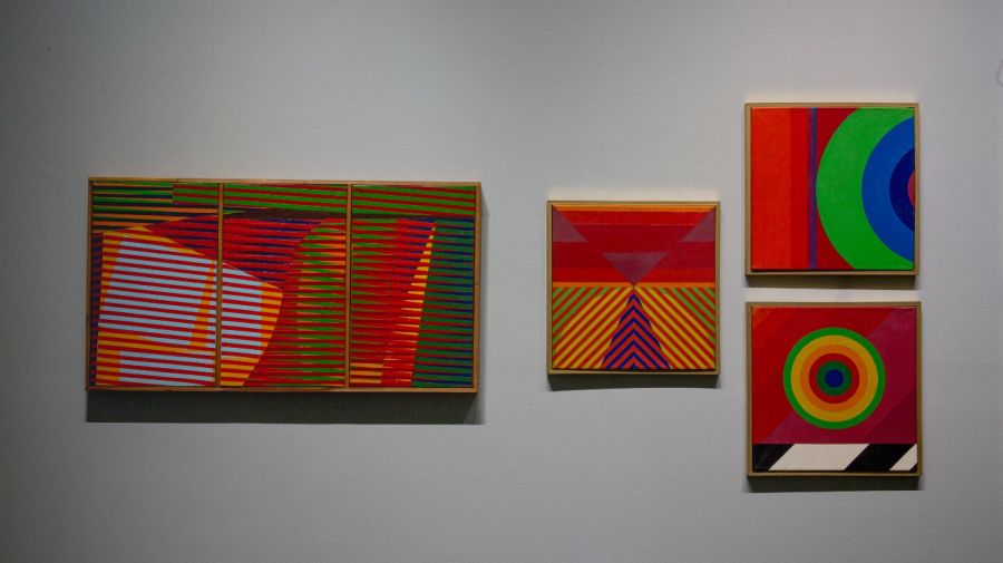 El Museo Sívori estrena su asociación de amigos con una exposición de Alicia Orlandi