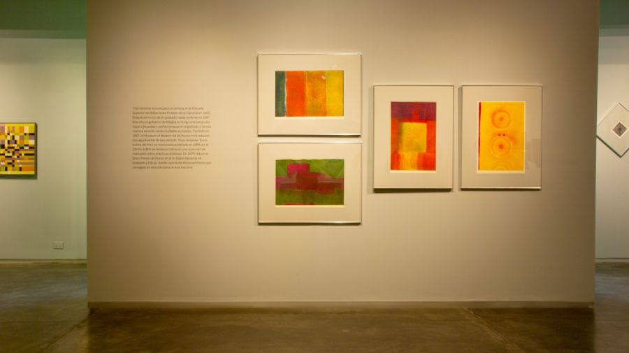 El Museo Sívori estrena su asociación de amigos con una exposición de Alicia Orlandi