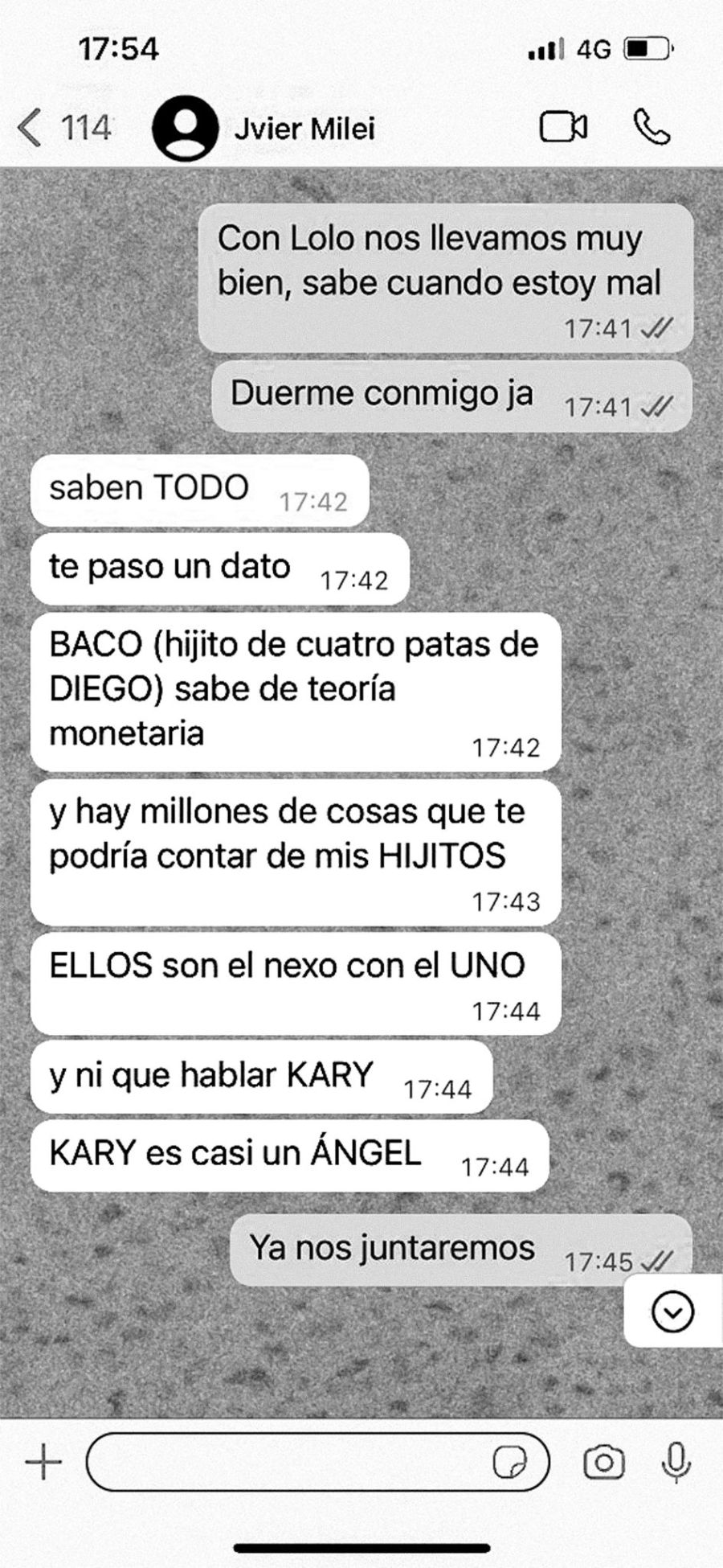 Las pruebas de la faceta mística de Javier Milei