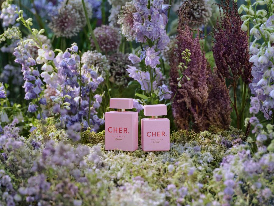 CHER Agencia Moscu 